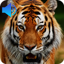 Animal Sounds APK