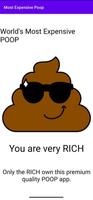 Most Expensive Poop poster