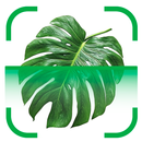 PlantBio: Ai Plant Identifier APK