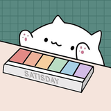 Satisday icon