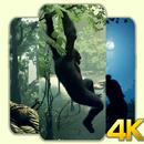 Ancestors Humankind Wallpaper APK