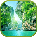 10000 Nature Wallpapers APK