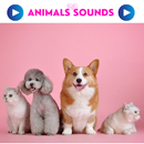 Animal sounds APK