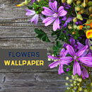 Flowers Wallpapers APK