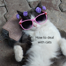 How to deal with cats APK