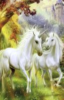 Unicorn HD Wallpaper imagem de tela 1
