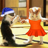 ندى حبيبة بابا 2022