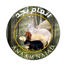 انعام نجد APK