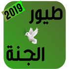 أناشيد طيور الجنة icon