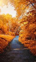 برنامه‌نما Autumn Leaves Wallpapers عکس از صفحه