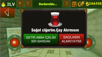 Şahin Yarışta Cartaz