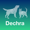 ”Dechra Dog and Cat Anaesthesia