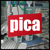 PICA ícone