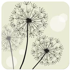 Launcher 8 theme:Dandelions