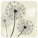 Launcher 8 theme:Dandelions APK