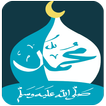 رسول الله ﷺ ( السيرة - أسئلة )