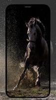 Paarden Achtergronden-poster