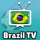TV Brasil ao vivo no celular APK