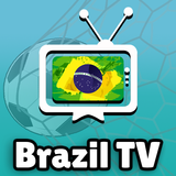 TV Brasil icône