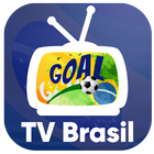 tv brasil futebol icône