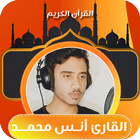 القران الكريم بصوت انس محمد icon