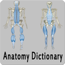 Anatomy Dictionary APK