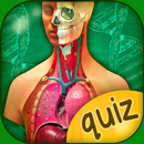 Anatomy Quiz game APK
