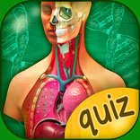 Anatomy Quiz game