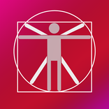 Anatomi Notları Premium