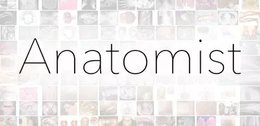 Anatomist - Gioco Anatomia