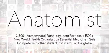 Anatomist - Анатомия Викторина
