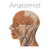 Anatomist - The Anatomy Game APK