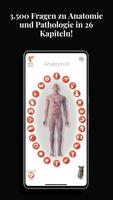 Anatomist Plakat