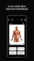 Anatomist Screenshot 2