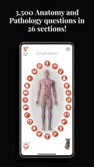 Anatomist - The Anatomy Game XAPK 下載