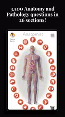 Anatomist - The Anatomy Game XAPK 下載