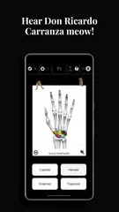 Anatomist - The Anatomy Game XAPK 下載