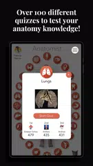 Anatomist - The Anatomy Game XAPK 下載