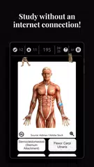 Anatomist - The Anatomy Game XAPK 下載