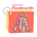 Anatomy Flashcards 2025 APK