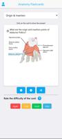 Anatomy Flashcards 2025 ポスター