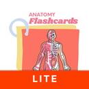 Anatomy Flashcards Lite APK