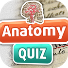 Anatomie Quiz Zeichen