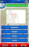 Anatomie Vragenspel screenshot 2