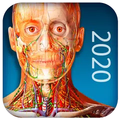 Atlas of Human Anatomy 2020 APK Herunterladen