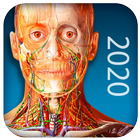Atlas of Human Anatomy 2020-icoon
