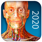 Atlas of Human Anatomy 2020 ícone