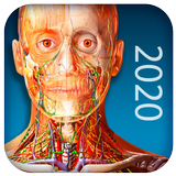 Atlas of Human Anatomy 2020 आइकन