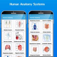 1 Schermata Atlas of Human Anatomy 2020