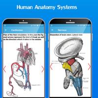 Atlas of Human Anatomy 2020 captura de pantalla 2